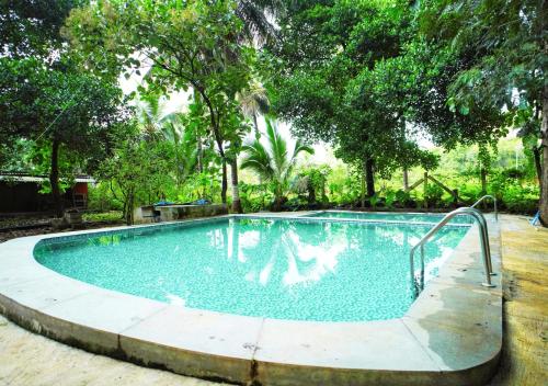 Swimming pool, Ambara Kovilakam Private Pool Villa By Travent Mug in Byalalu