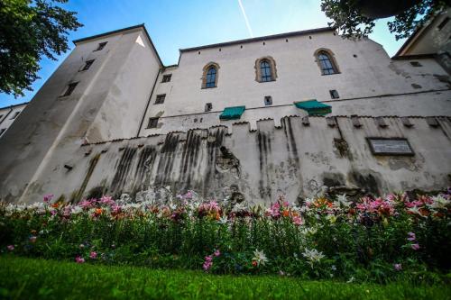 Ubytování v srdci Písku (Ubytovani v srdci Pisku) in ปิเสค