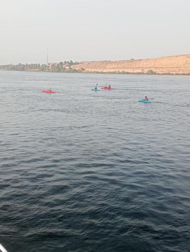 Houseboat Hotel and Nile Cruises Zainoba - image 4