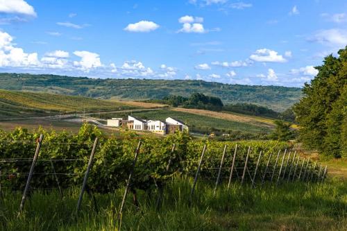 Pensiune și Restaurant Silvania