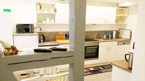 Gruppenspaß im schönen Ferienhaus für 12 Personen und Hund im Oberharz, Sankt Andreasberg (Foto 3)