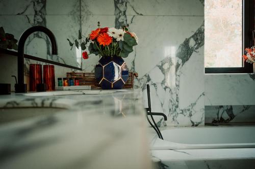 Relais M B&B in Frasnes-lez-Anvaing