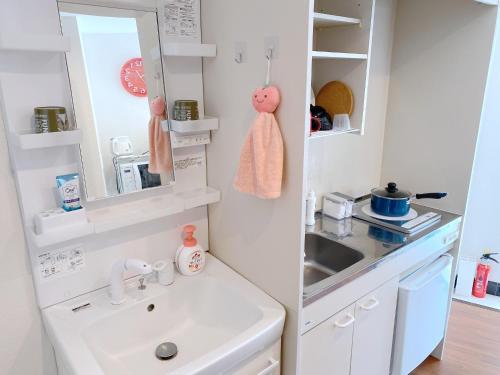 SKYE HOME MINPAKU - Vacation STAY 11088