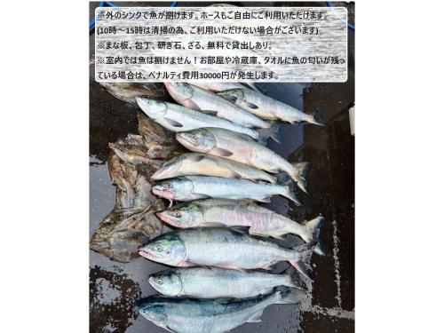 Shirakaba no mori Cottage - Vacation STAY 90794v