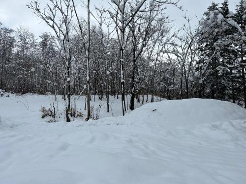 niseko kamahale village - Vacation STAY 85808v