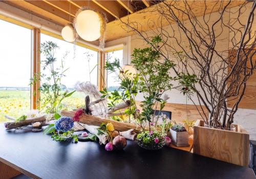 Ezo Shiba - Vacation STAY 12248