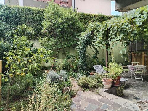 Apartma Ada in 亞戈德耶