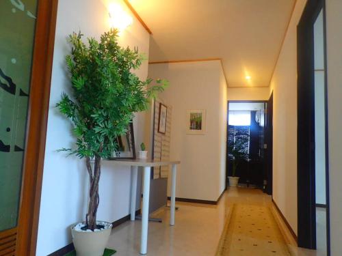 Colline du Soleil - Vacation STAY 12807