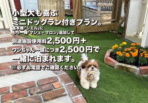 Guest House CHALET SIELU - Up to 4 of SIELU & 5-6 of SAN-CASHEW or with dogs- Vacation STAY 68051v