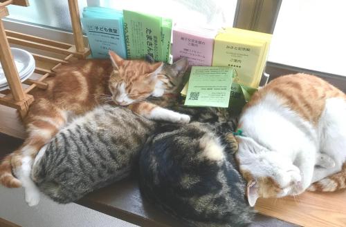 Misato Memorial Hall - Vacation STAY 61405v