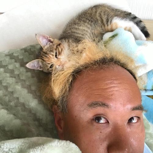 Misato Memorial Hall - Vacation STAY 61405v