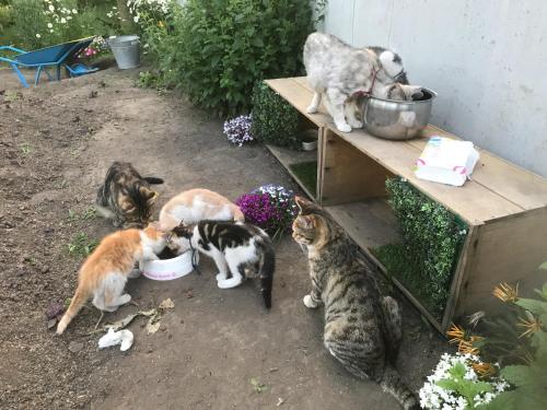 Misato Memorial Hall - Vacation STAY 61405v