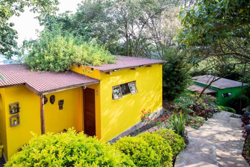 Chameleon Hill Forest Lodge in Kisoro