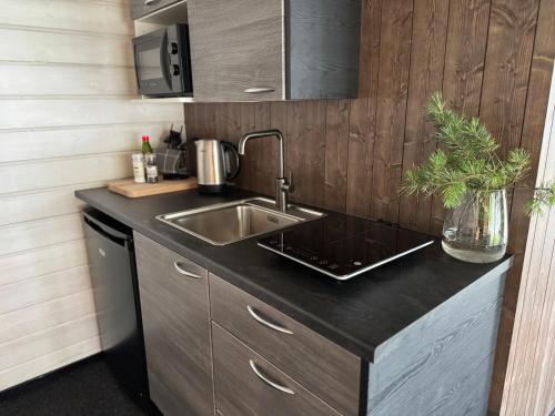 LakeLodge Kiehinen & Igloos in Рованіємі