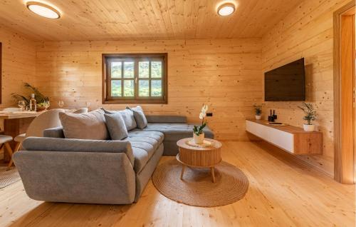 Pet Friendly Home In Licko Petrovo Selo With Wifi in Gornji Vaganac
