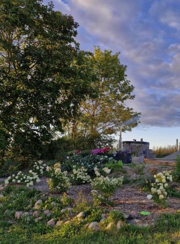 Chatka bez zegarka
