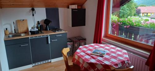 virtuve, Haus Nandita in Schoder
