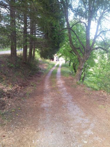 المنطقة المحيطة, En Cévennes,Les gîtes du Champ Neuf La grange du Papé (En Cevennes,Les gites du Champ Neuf La grange du Pape) in Le Collet De Deze