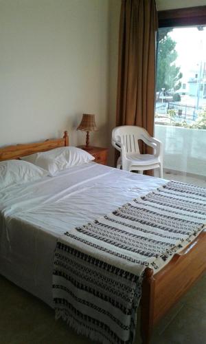 Nicos & Olympia Apartments photo