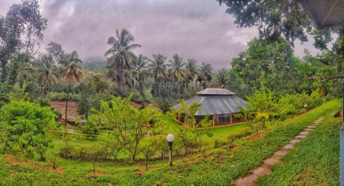 Nature's nest in Njayappilly