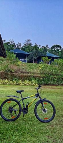 Nature's nest in Njayappilly