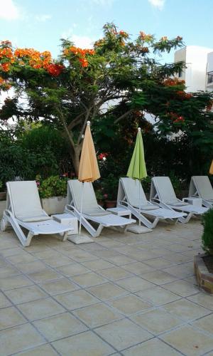 Nicos & Olympia Apartments - image 6
