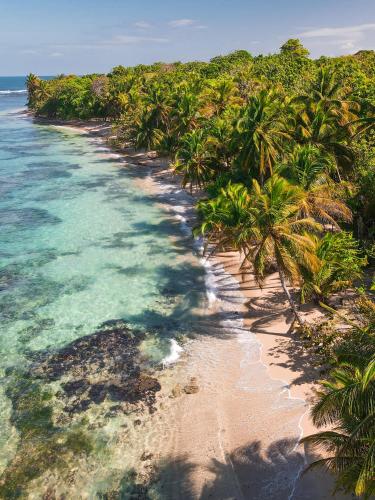 La Loma Jungle Lodge and Chocolate Farm in Bastimentos