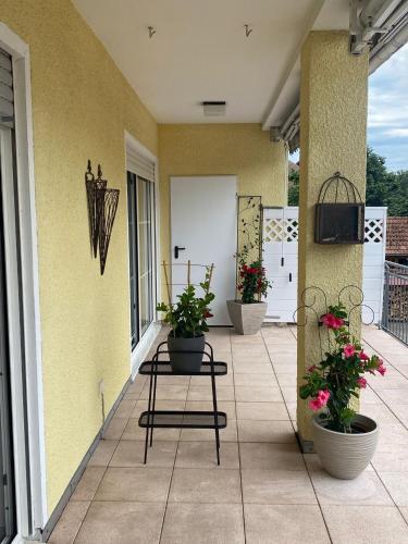 Ferienwohnung Waldblick in Scheidt, Deutschland