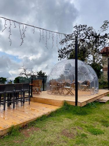 Calma Hermon Guest Rooms in 네베 아티브