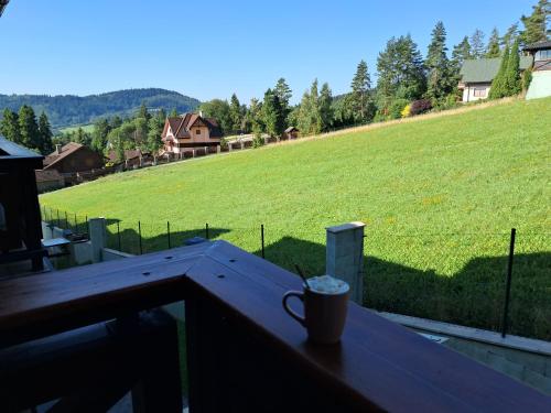 陽台/露台, Apartment SKI-BIKE-HIKE 2, Vyšné Ružbachy (Apartment SKI-BIKE-HIKE 2, Vysne Ruzbachy) in 上魯日巴希