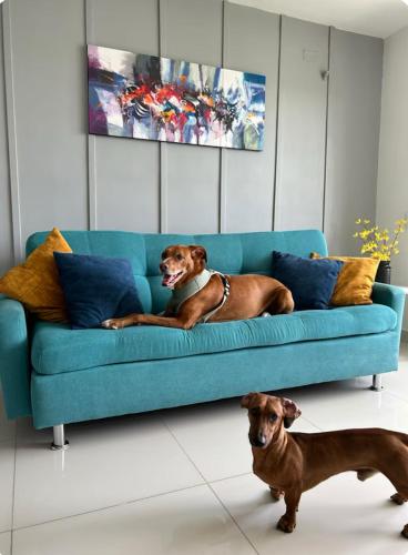 Apartamento en Condominio Peñazul, La Morada