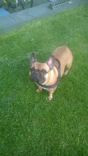 Pension Margarethe in บีเดนคอพฟ์