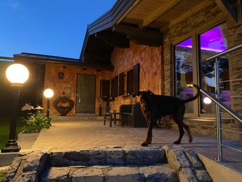 Alm Chalet on Mondsee Mountain, pets welcome! in Zell Am Moos