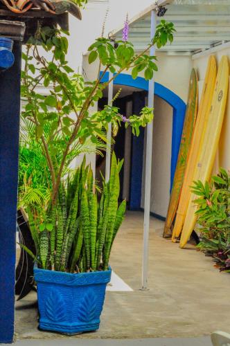 Surf & Arte Hostel in Cabo Frío