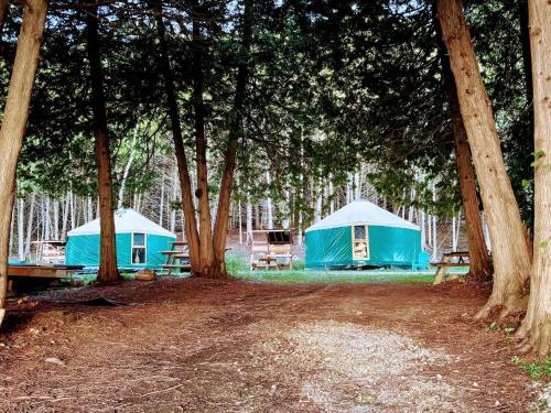 Iekārtas, Star-Lake Yurt Sanctuary Waterview in Red Bay (ON)