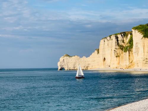 沙滩, Villa Les Hortensias 14 à 20 pers 10min d'Etretat (Villa Les Hortensias 14 a 20 pers 10min d'Etretat) in 曼尼克维尔
