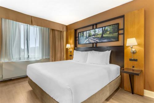 King Room with Jetted Tub - Non-Smoking