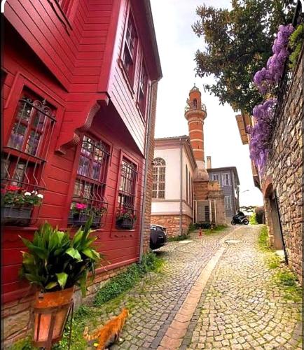 An Istanbul tale, an Istanbul dream,Mansion, Istanbul