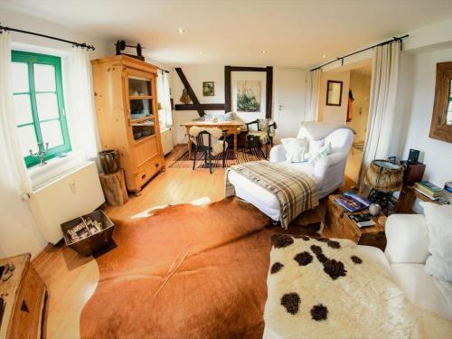 dreamlike Elb-Chalet, Drážďany (fotografie 7)
