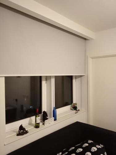 Beautiful new build in Canary Wharf with balcony and view's