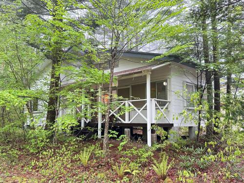 Summer Cool Forest Cottage-北軽井沢 夏涼の森コテージ-