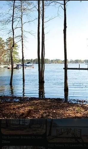 Lazy at Lake, Leesville