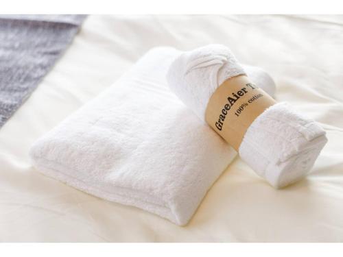 Grandir Meieki - Vacation STAY 13479