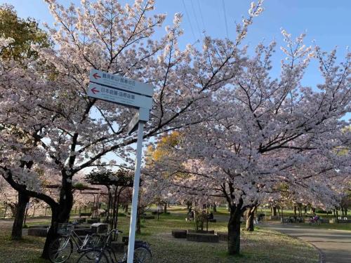 MEILAN HOUSE - Vacation STAY 13804