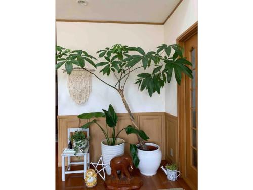 MEILAN HOUSE - Vacation STAY 13804