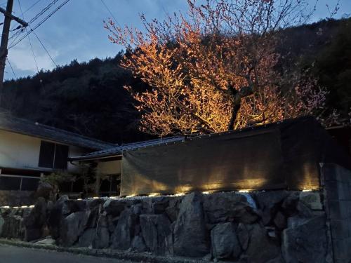 Natural open-air hot spring Chizu - Vacation STAY 16412v
