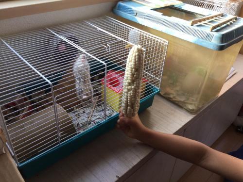 Orange Sou Guest House - Vacation STAY 17213