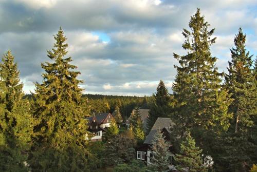 Berghotel Friedrichshöhe