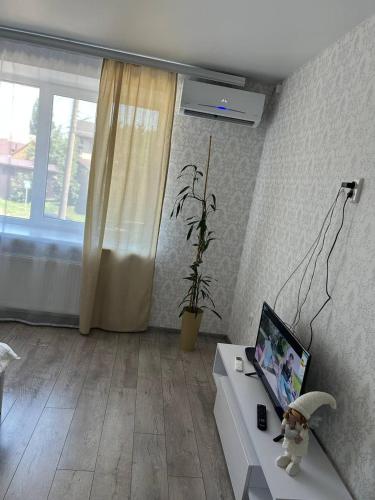 Квартира Люкс in 蘇梅