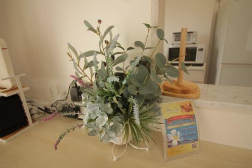 Sea Breeze Sumuide – Nago, CA